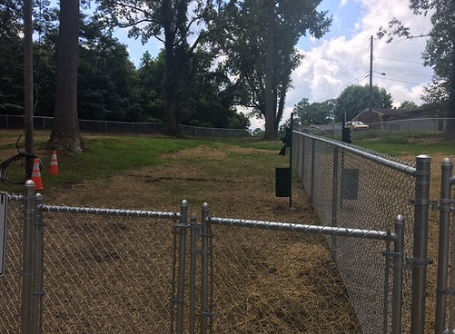 Interior view of Flatwoods Dog Park showing fenced enclosures, grassy paths, and scattered traffic cones under tall trees.